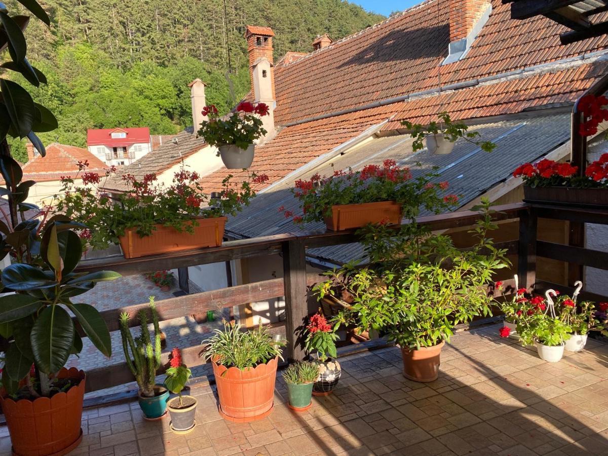 Victoria Gasthaus Rasnov - Charming Vacation House In Rasnov Luaran gambar