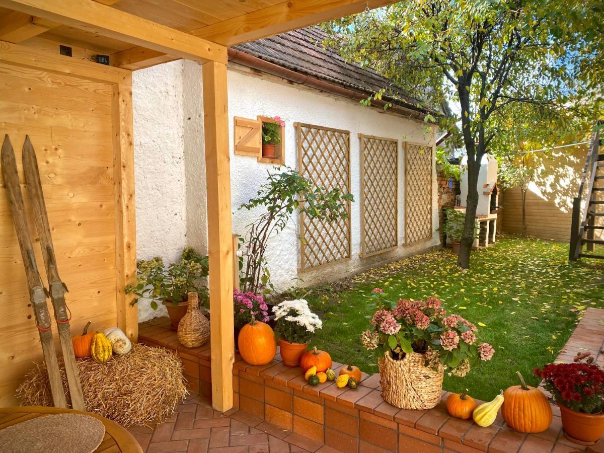 Victoria Gasthaus Rasnov - Charming Vacation House In Rasnov Luaran gambar