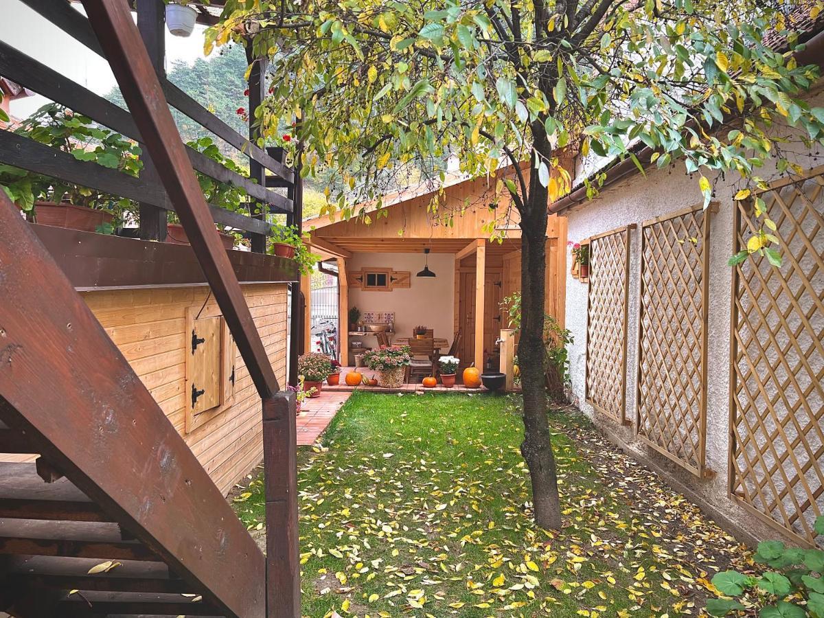Victoria Gasthaus Rasnov - Charming Vacation House In Rasnov Luaran gambar