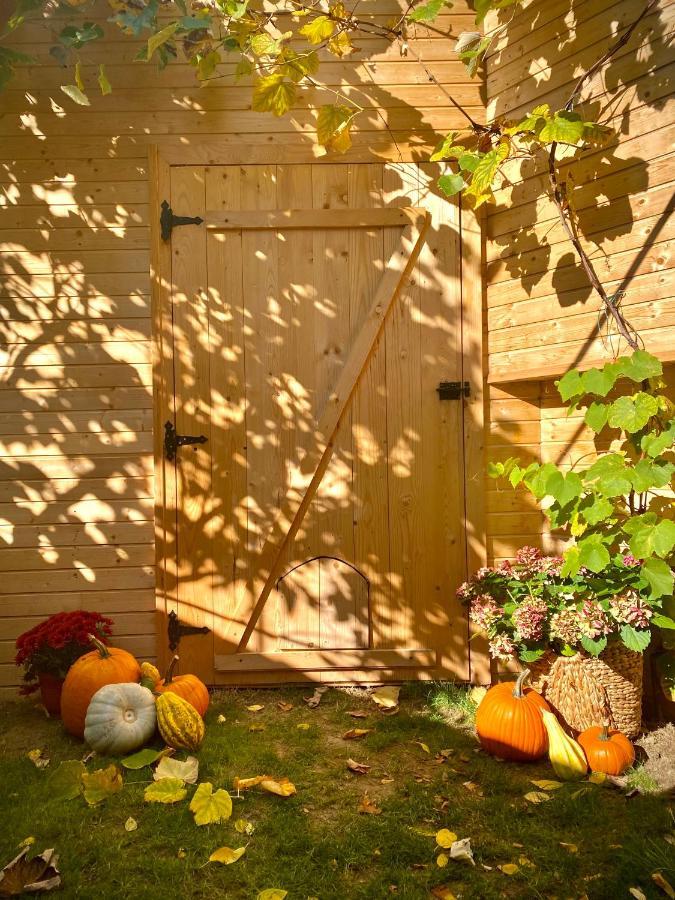 Victoria Gasthaus Rasnov - Charming Vacation House In Rasnov Luaran gambar